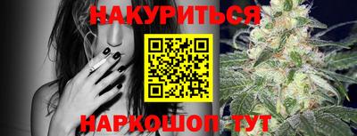 прущие грибы Кандалакша