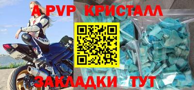 прущие грибы Кандалакша