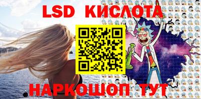 прущие грибы Кандалакша